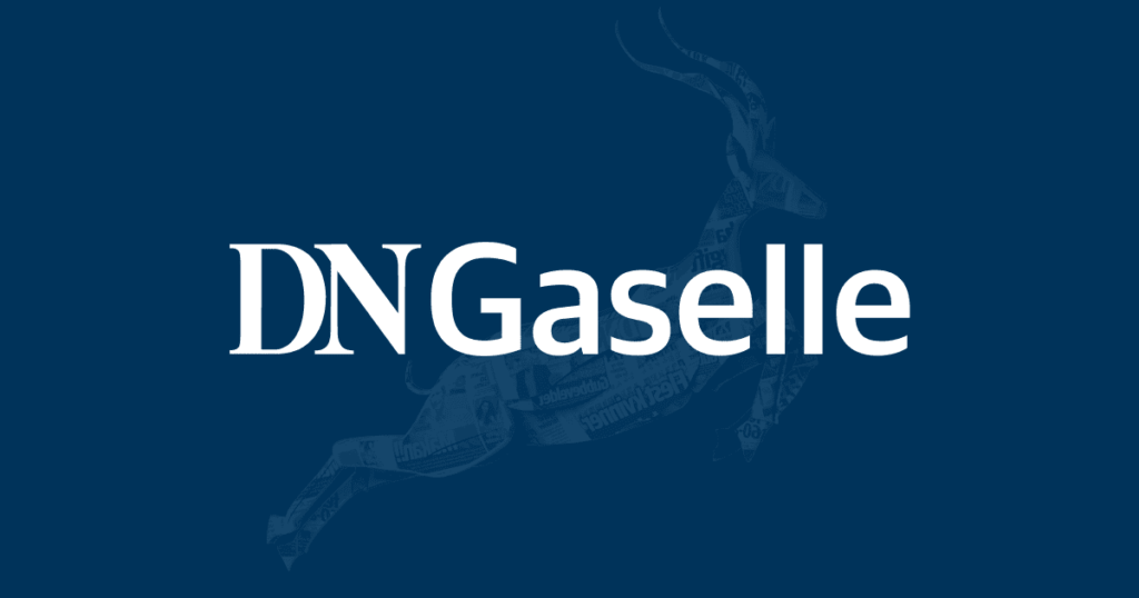 DN Gaselle logo